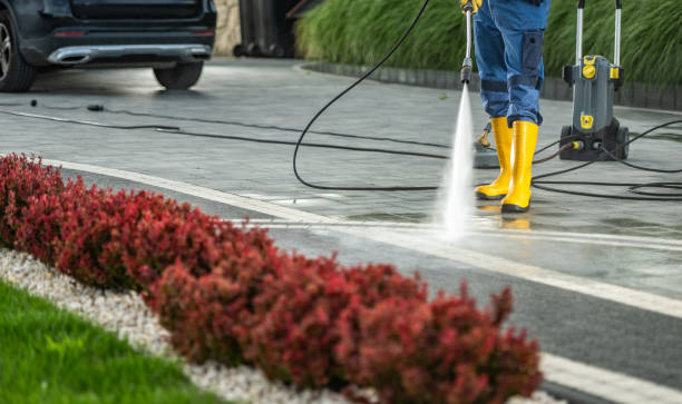 Best Fence Cleaning  in Mundelein, IL